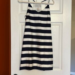 J Crew Blue and White Striped Silk Dress